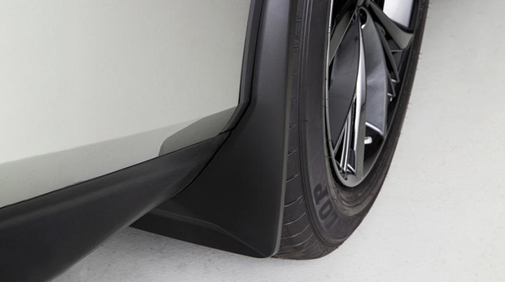 MUDGUARD