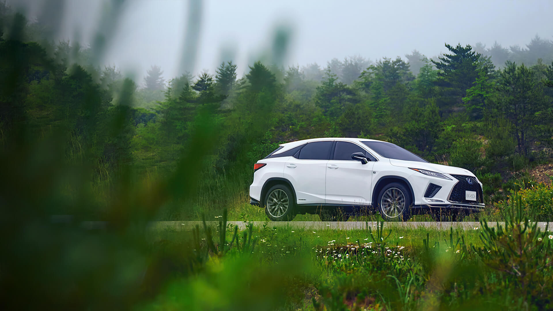 White Lexus RX parked in a field and surrounded by greenery.