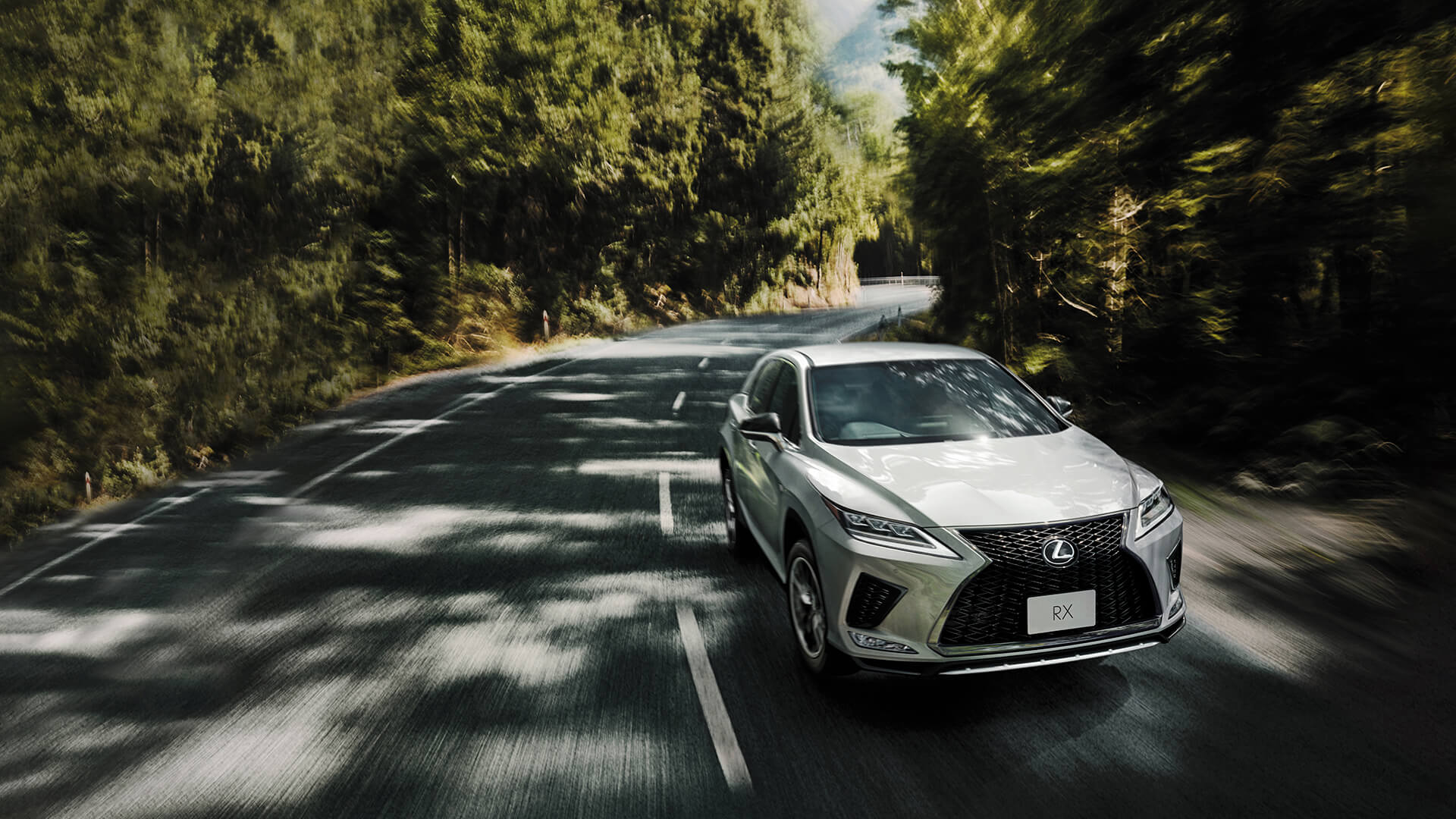 Silver Lexus RX being driven through a forested area.