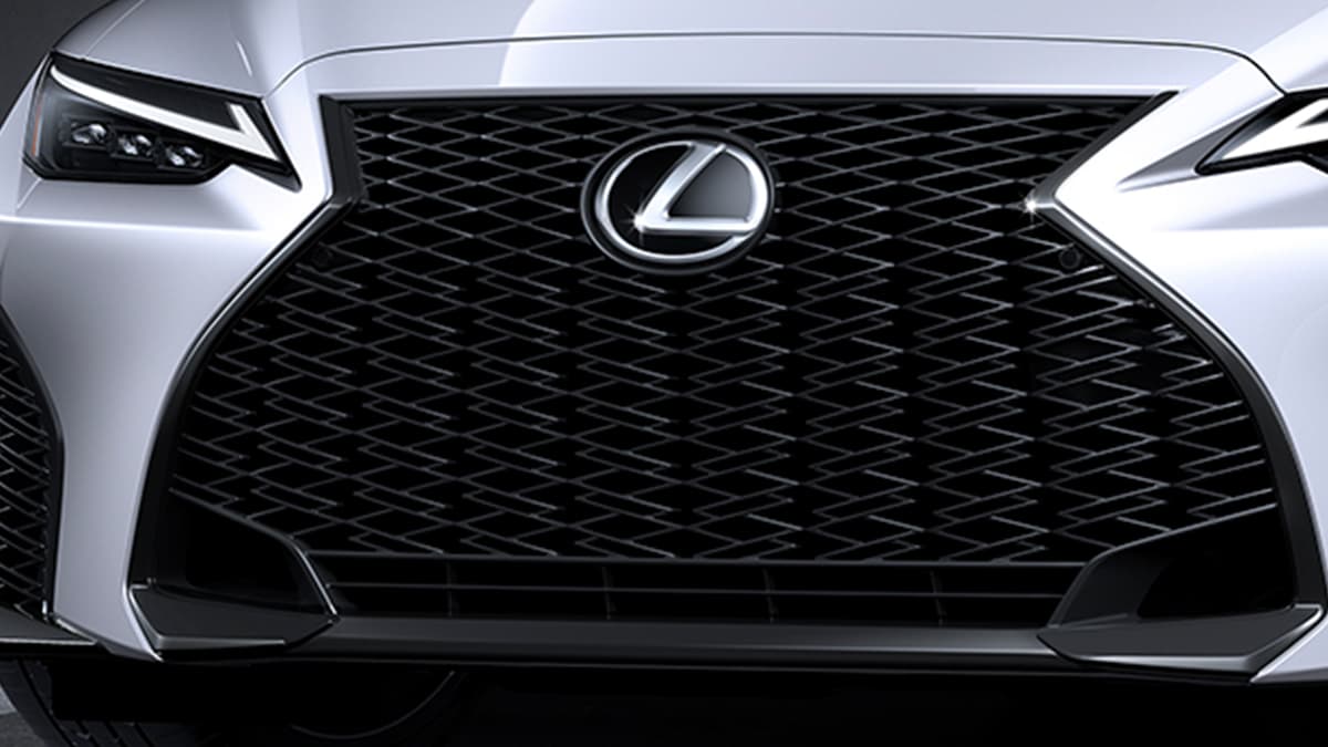 DISTINCTIVE GRILLE