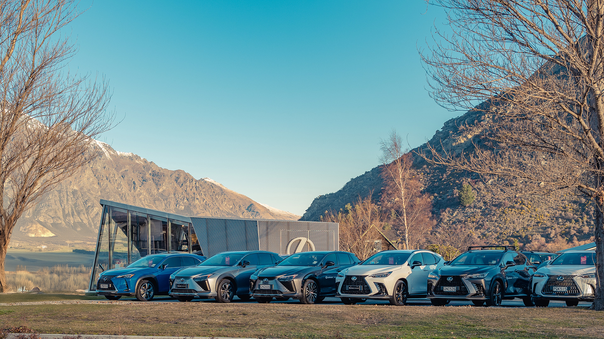 LEXUS OF QUEENSTOWN
