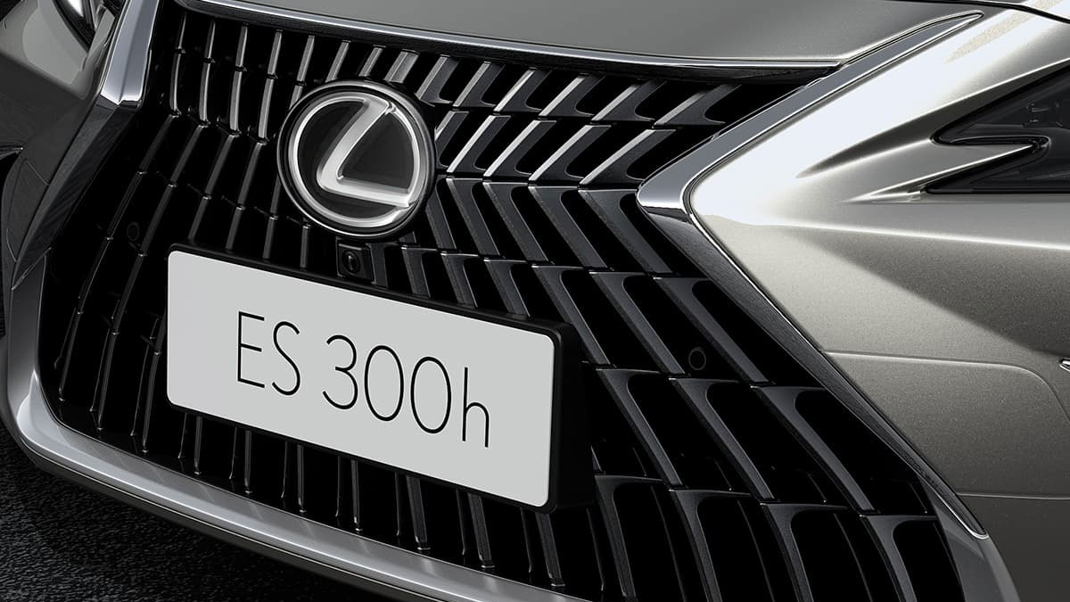 UNIQUE SPINDLE GRILLE