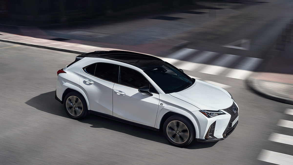 LEXUS UX 250h UPLIFTED BY BLACK LINE LIMITED EDITION
